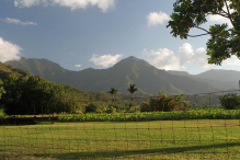 field fence on Kaua'i