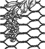 crop protection netting woven poly