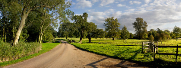 fenced lane