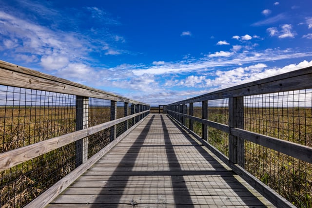 What Is The Difference Between Welded Wire Fencing and Woven Wire Fencing?