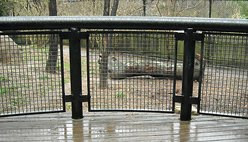 vinyl coated welded wire mesh infill safety panles