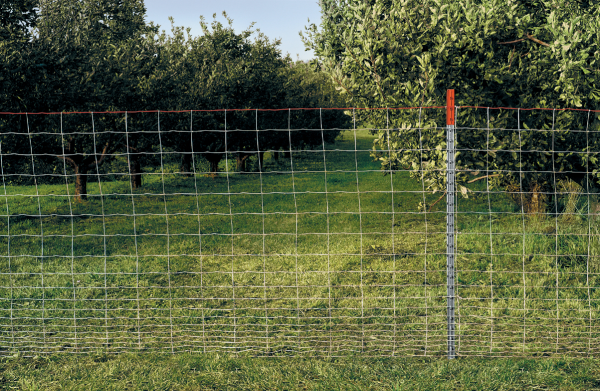 新品FENCE OF DEFENSE『REUNITED&STARTING… Deer Fence - Keep Your Orchard Safe