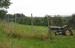 tractor