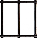 Black vinyl coated wire mesh