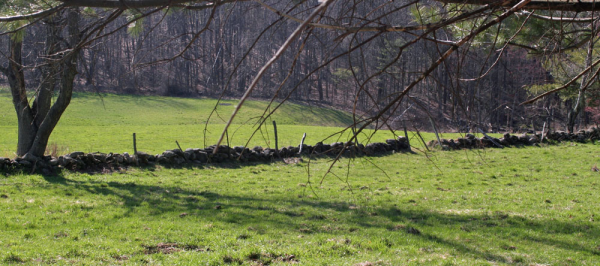 field and stone fence