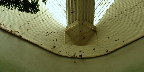 vinyl coated welded wire mesh avairy Franklin Park Zoo