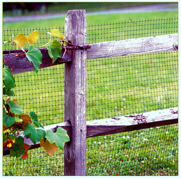 plastic mesh on post & rail