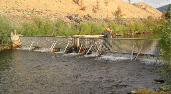 counting fence on Deadman River