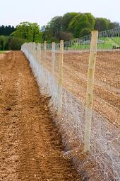 deer fence or mesh