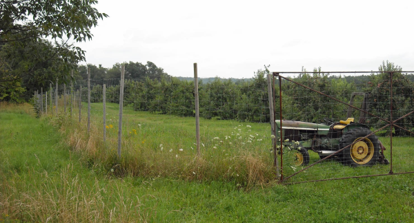 deer_fence_tractor_1-resized-600.jpg