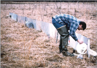 man in waders setting up a drift fence