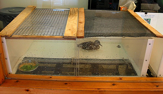 vinyl coated welded wire mesh covers duck box