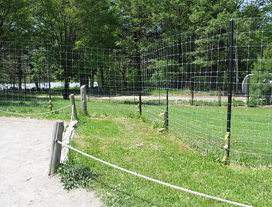 woven wire fence at Franklin Park Zoo