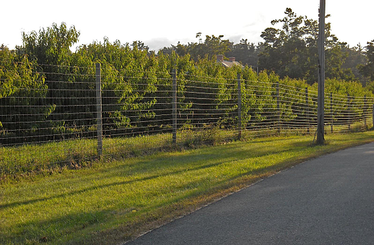 high tensile deer fence