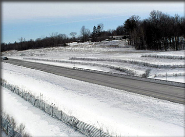 living snow fence  - winter