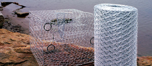 What Is Chicken Wire?