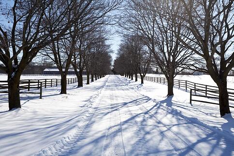 snowy road with wooden fence