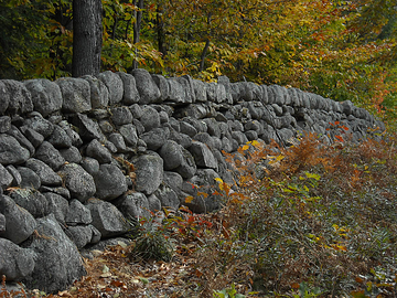 stone wall fence in autumn