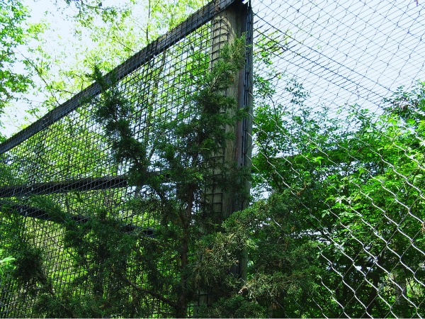 vinyl coated welded wire fence Franklin Park Zoo