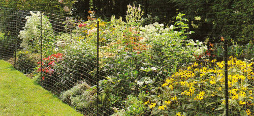 welded_wire_garden_fence-resized-600