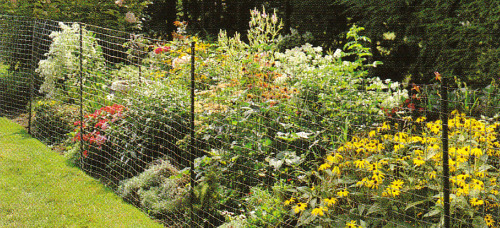 welded wire garden fence