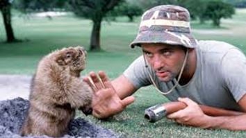 Gopher in hole with Bill Murray from film Caddyshack