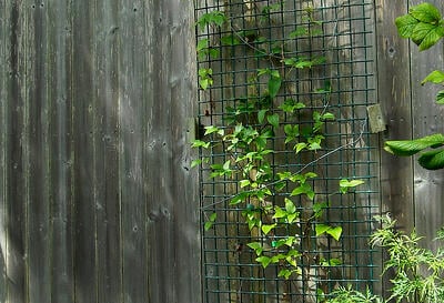 vinyl coated welded wire trellis