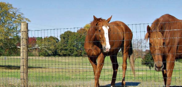 woven 2"x4" horse fence