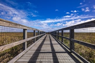 fenced walkway over marshland