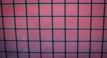 Vinyl Coated Wire Mesh
