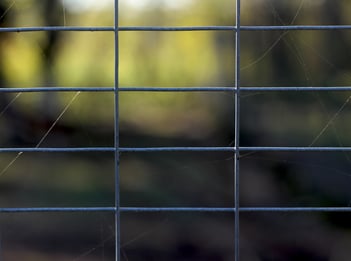 Welded wire with webs