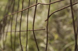 broken fence