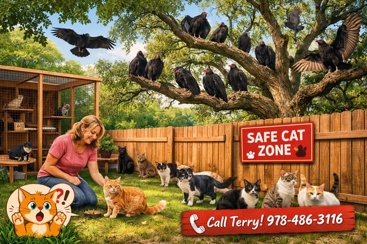 ChatGPT Image Feb 19, 2026, 12_11_45 PM