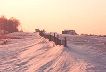 snowfence