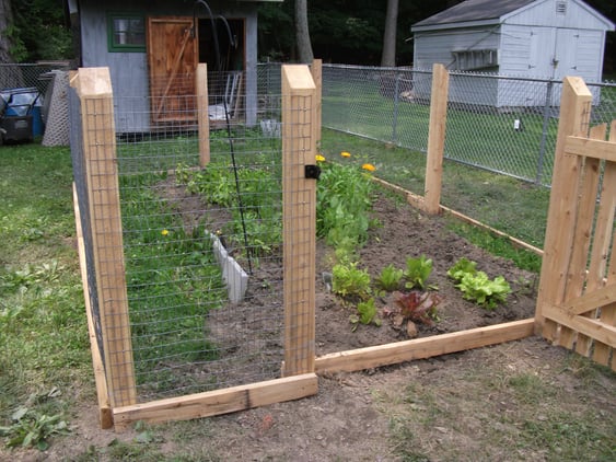 veggie garden behind fence