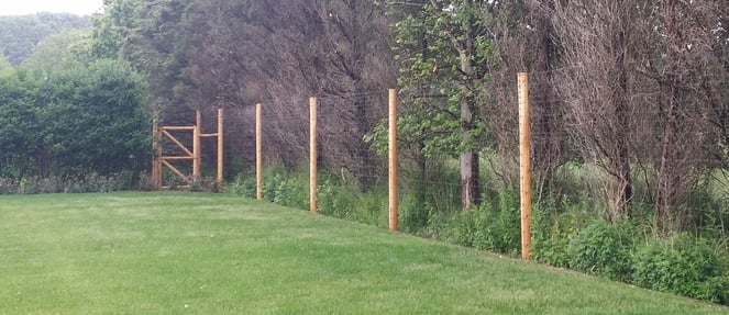 galvanized high tensile deer fence