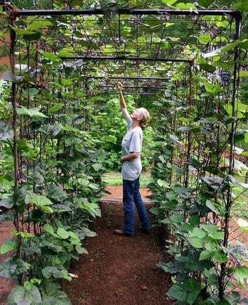 woman tending arbor 