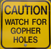 gopher holes