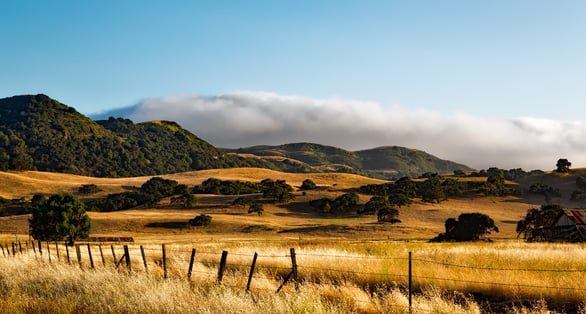 landscsape with hills and golden fields