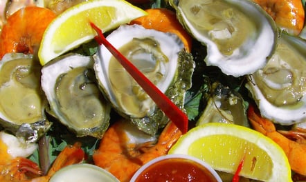 oysters on the half shell