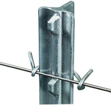 galvanized T post