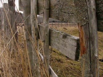 old weathered fence in paddock