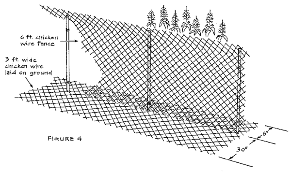 woodchuck fencing drawing with instructions